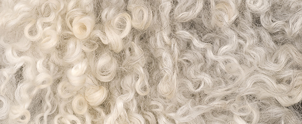 (c) Barbro Bergfeld - Fotolia.com
