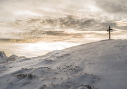 Brauchen wir Wunder?