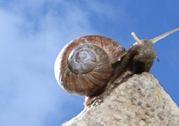 Erfolgsrezept Religion?