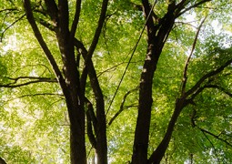 Freiheitliche Verantwortung